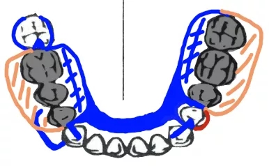 1605519503830057.jpg 2.webp.jpg